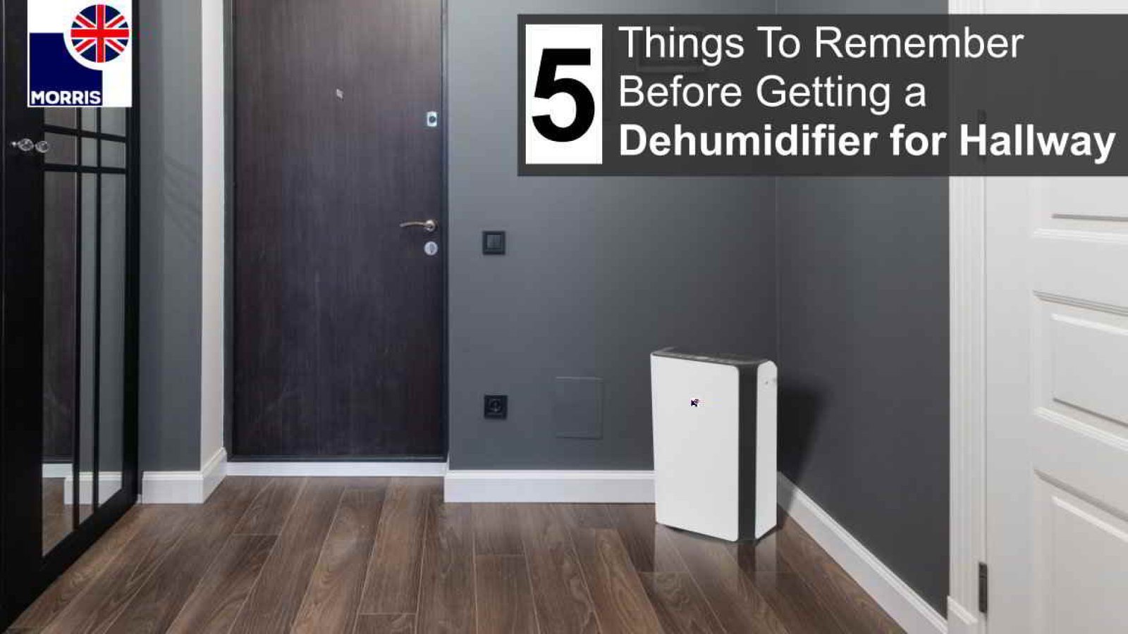 Dehumidifier for hallway. 5 Things To Remember Morris Direct